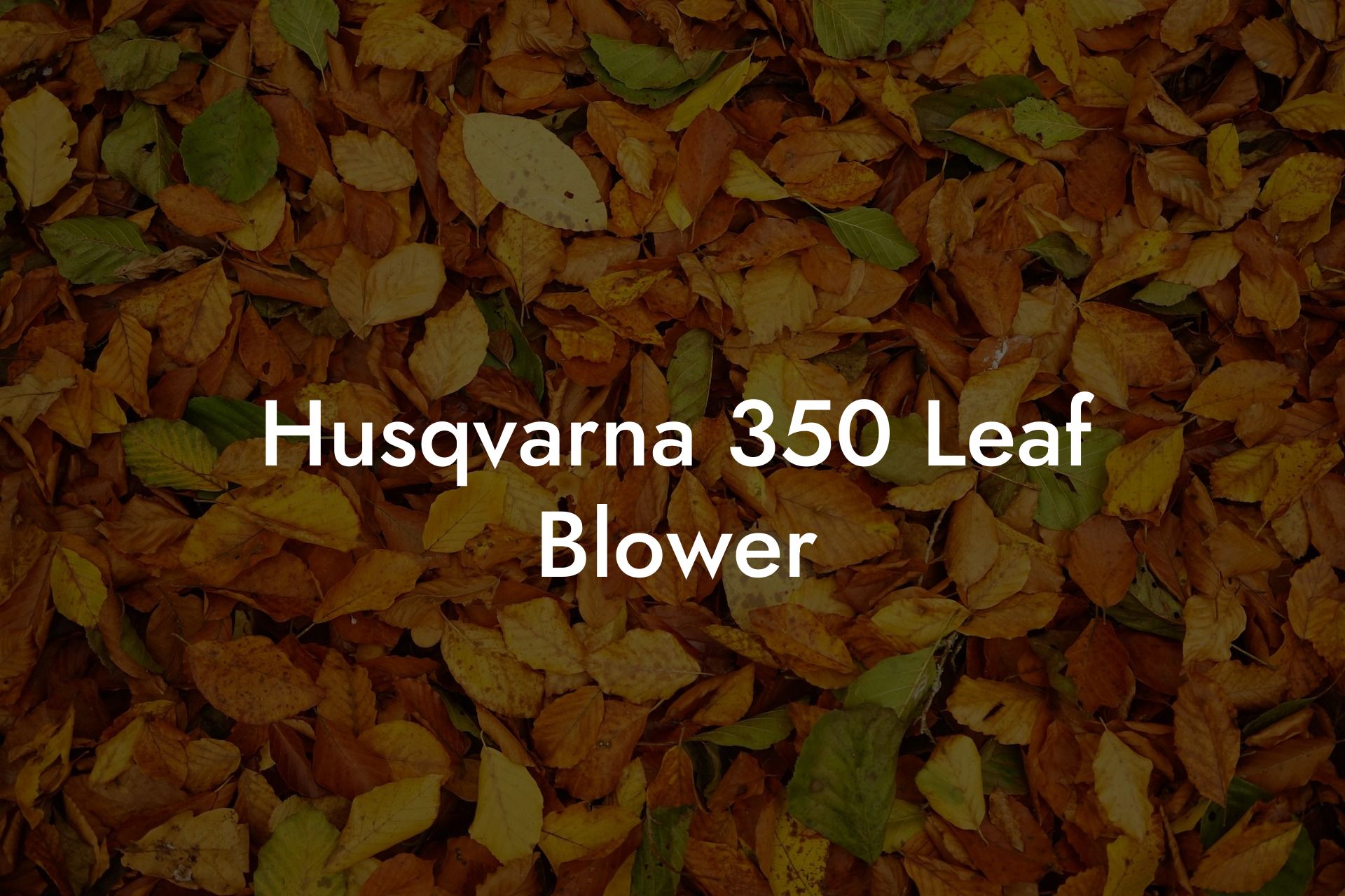 Husqvarna 350 Leaf Blower