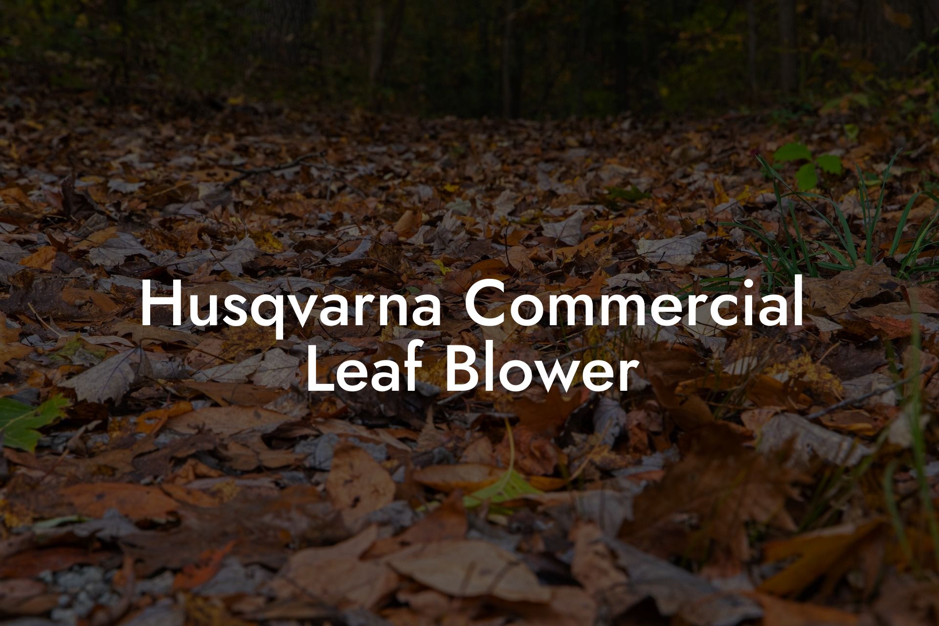 Husqvarna Commercial Leaf Blower