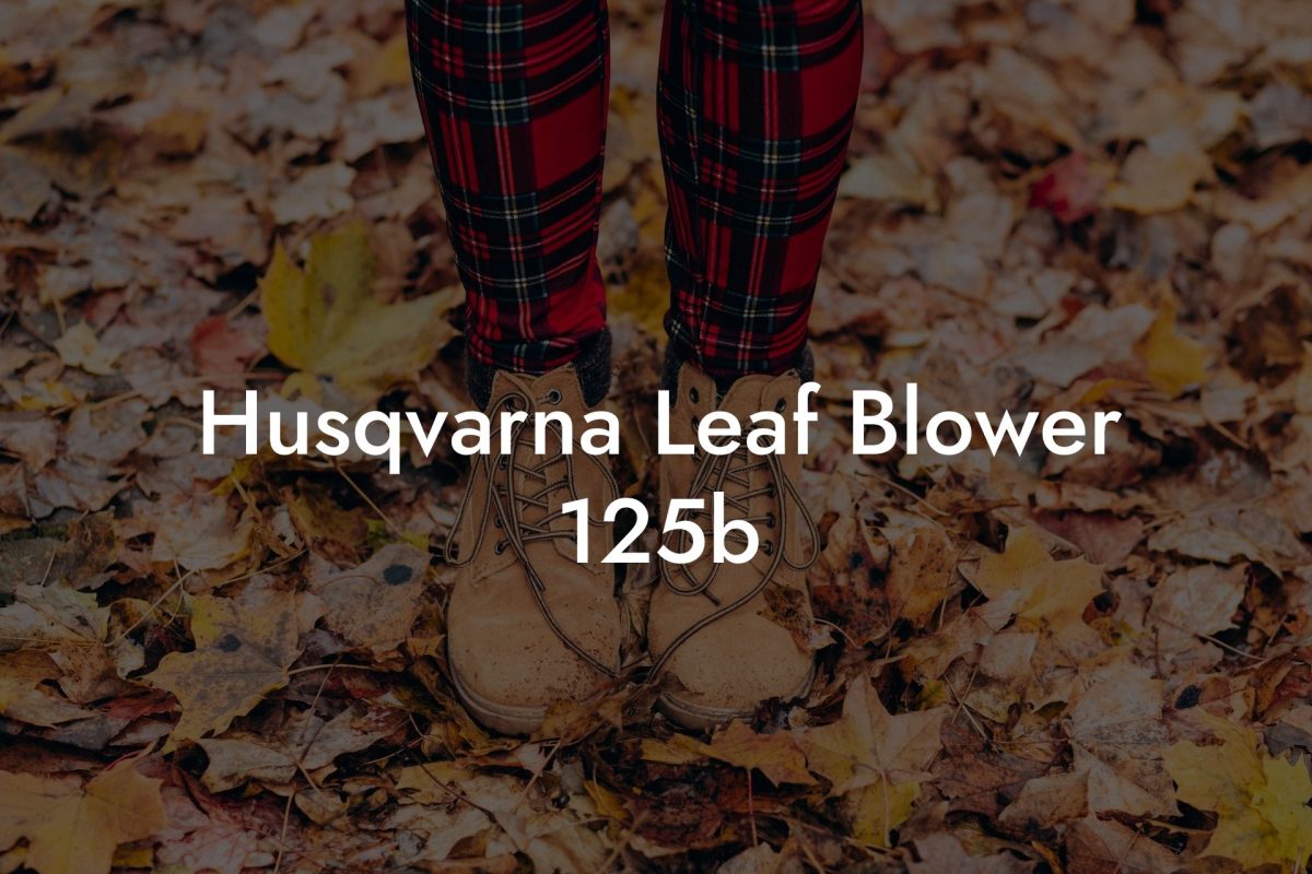 Husqvarna Leaf Blower 125b