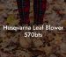 Husqvarna Leaf Blower 570bts