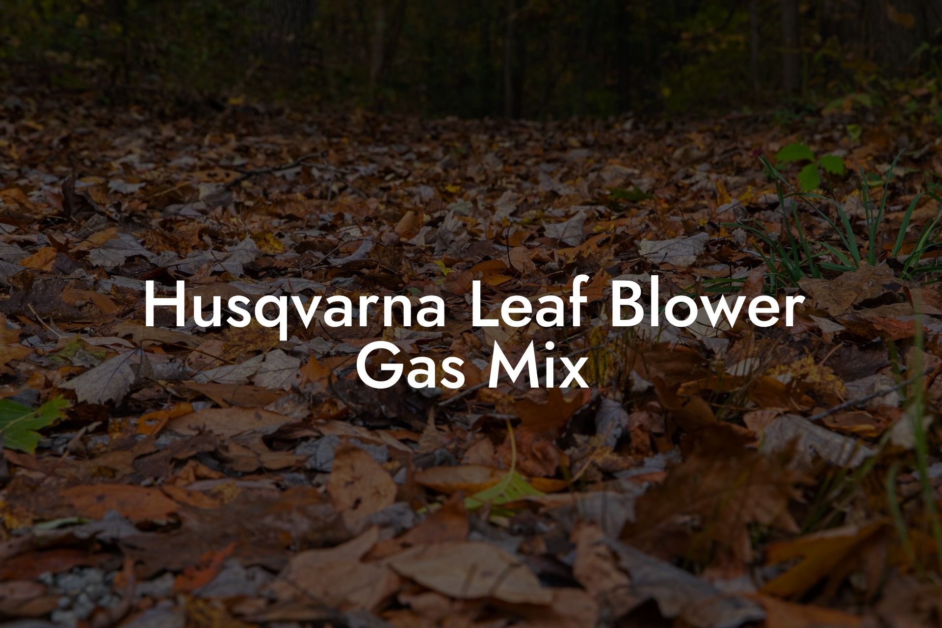 Husqvarna Leaf Blower Gas Mix