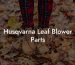 Husqvarna Leaf Blower Parts