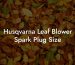 Husqvarna Leaf Blower Spark Plug Size