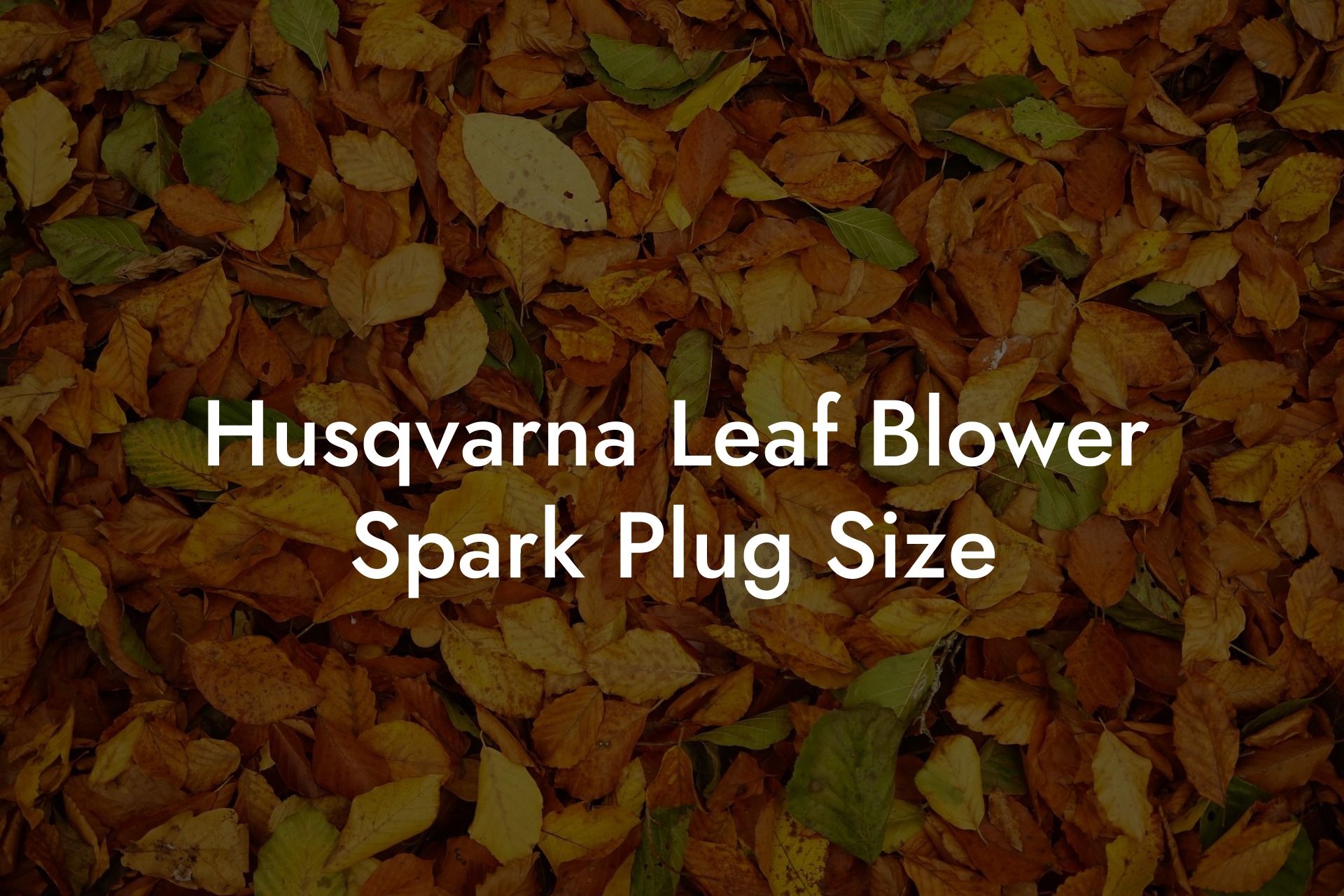 Husqvarna Leaf Blower Spark Plug Size