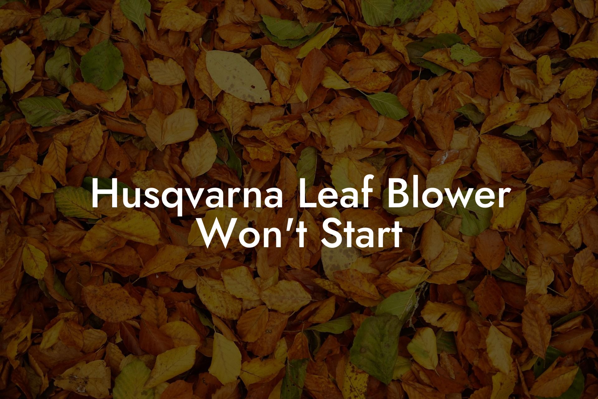 Husqvarna Leaf Blower Won't Start