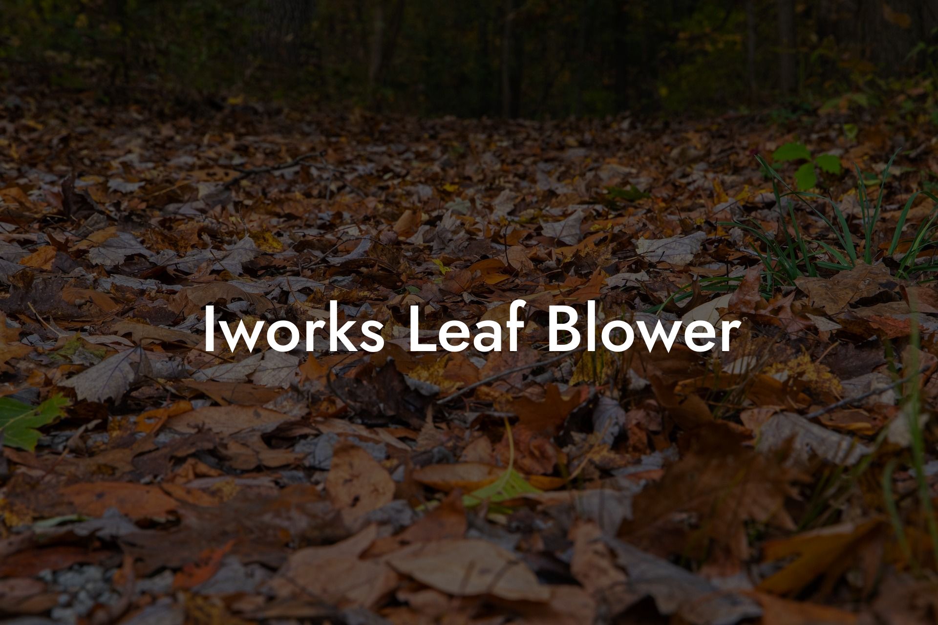 Iworks Leaf Blower