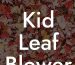 Kid Leaf Blower