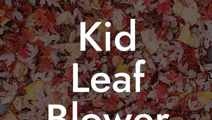 Kid Leaf Blower