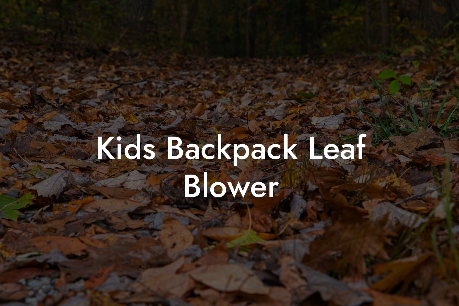 Kids Backpack Leaf Blower