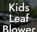 Kids Leaf Blower That Works