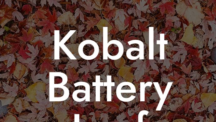 Kobalt Battery Leaf Blower