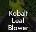 Kobalt Leaf Blower 24v