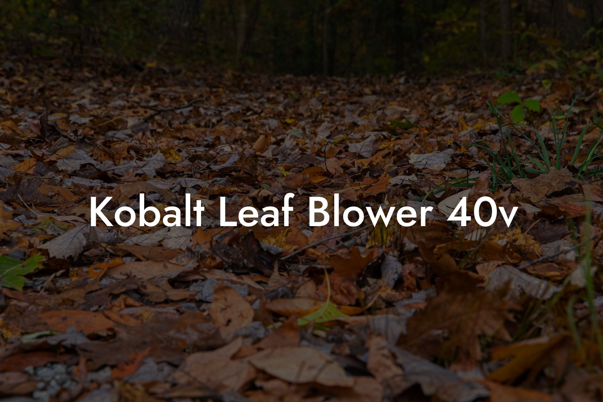 Kobalt Leaf Blower 40v