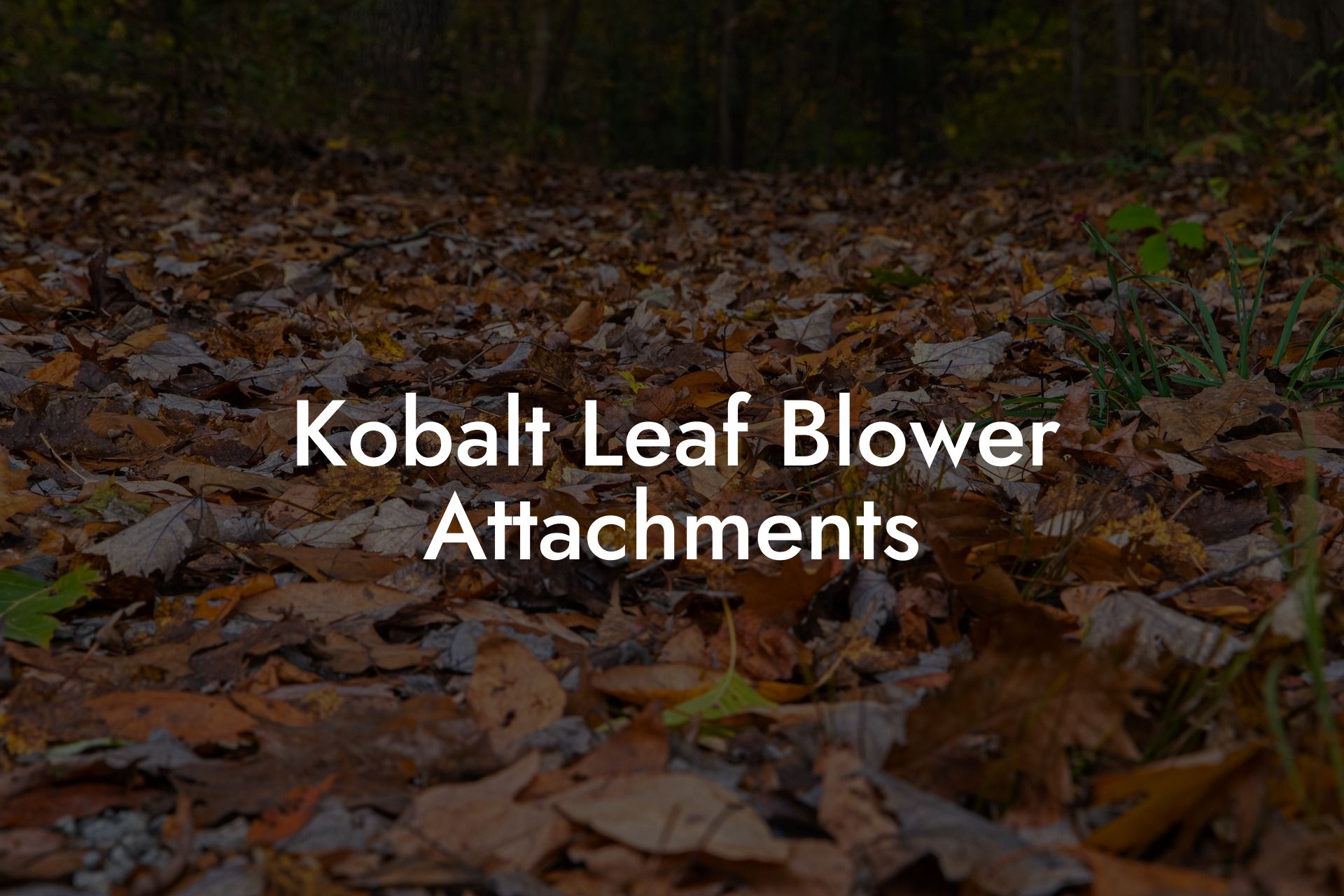 Kobalt Leaf Blower Attachments