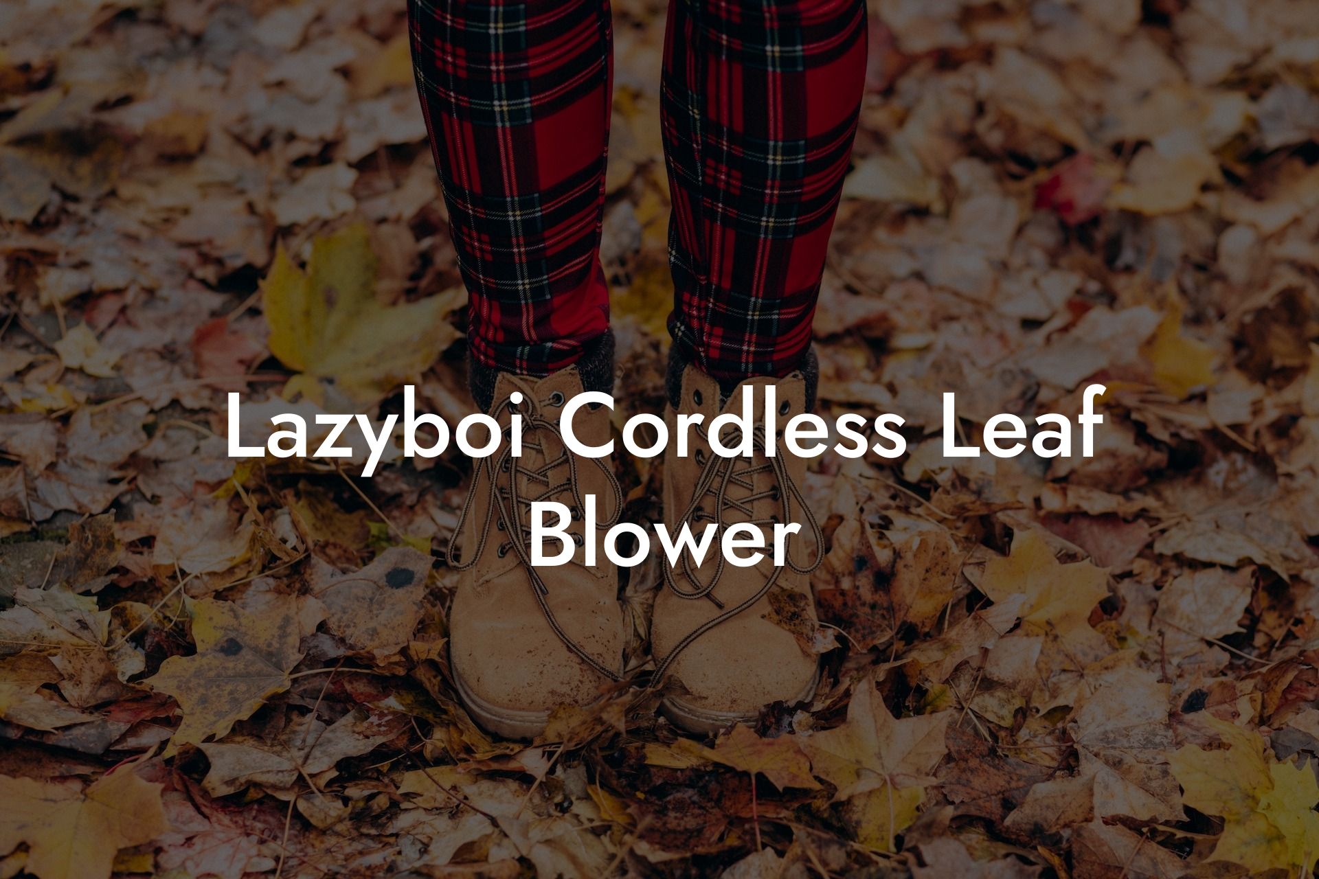 Lazyboi Cordless Leaf Blower