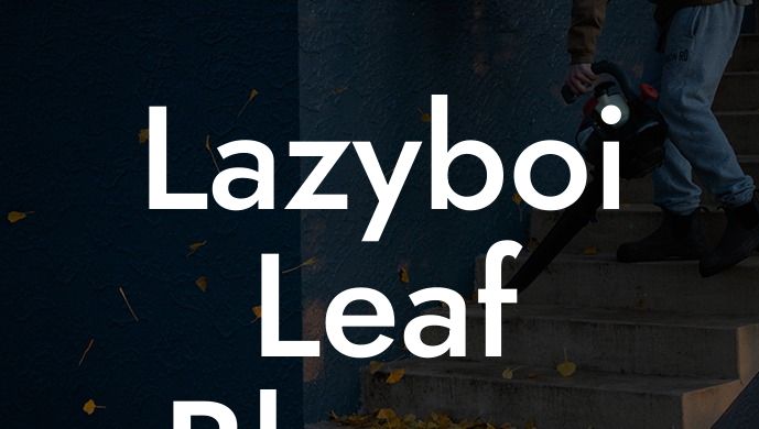 Lazyboi Leaf Blower Review