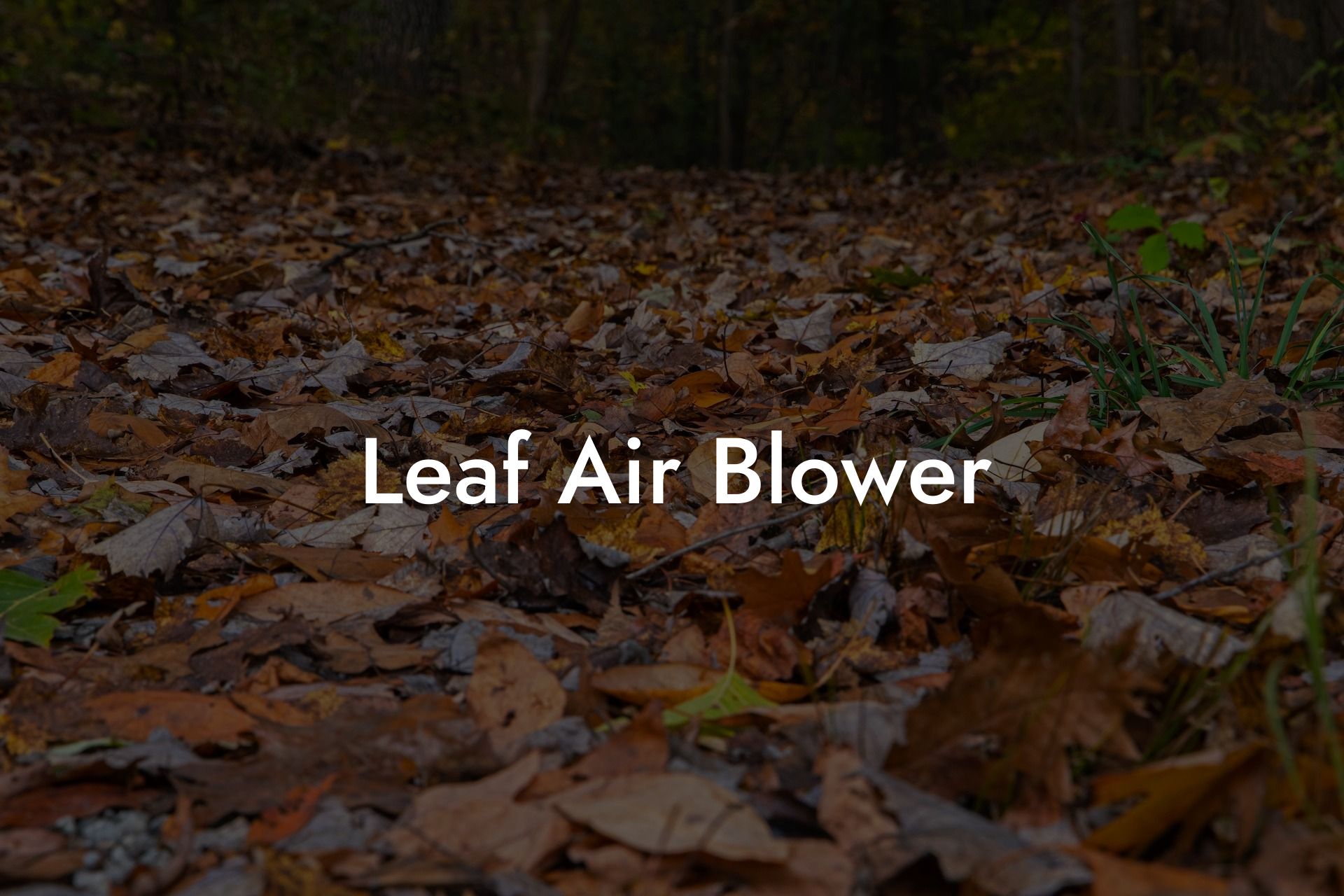 Leaf Air Blower