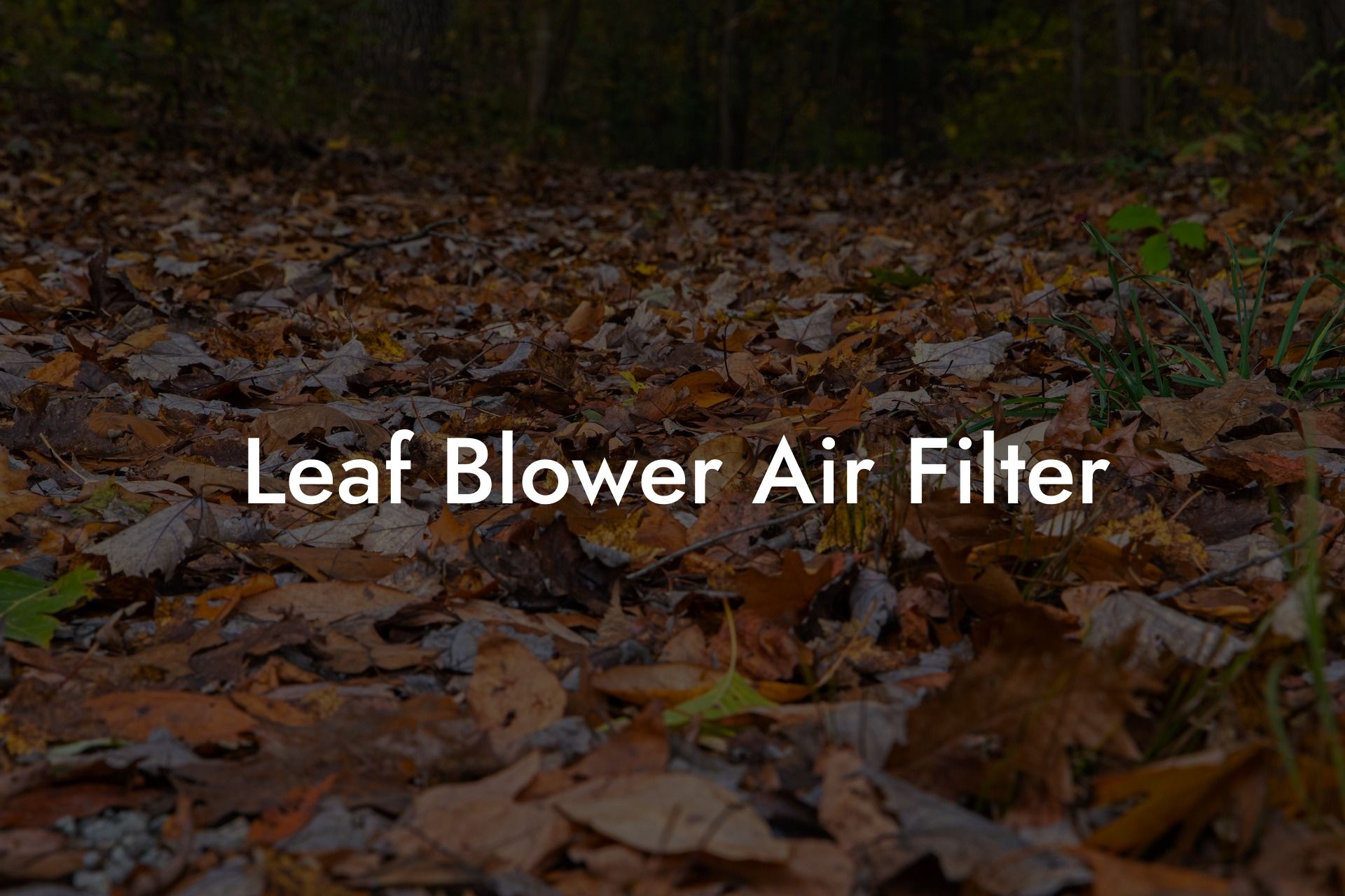 Leaf Blower Air Filter