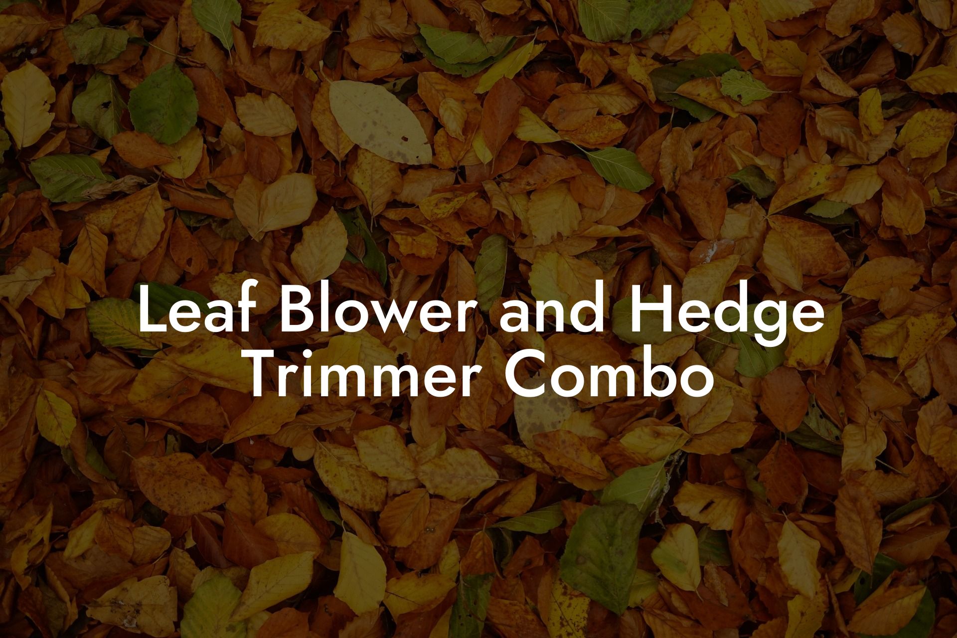 Leaf Blower and Hedge Trimmer Combo