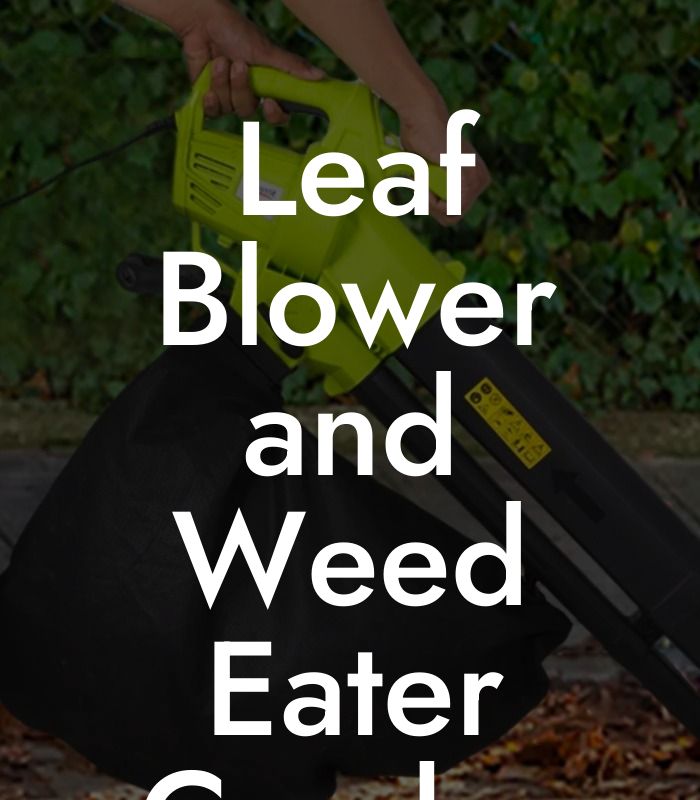 Leaf Blower and Weed Eater Combo