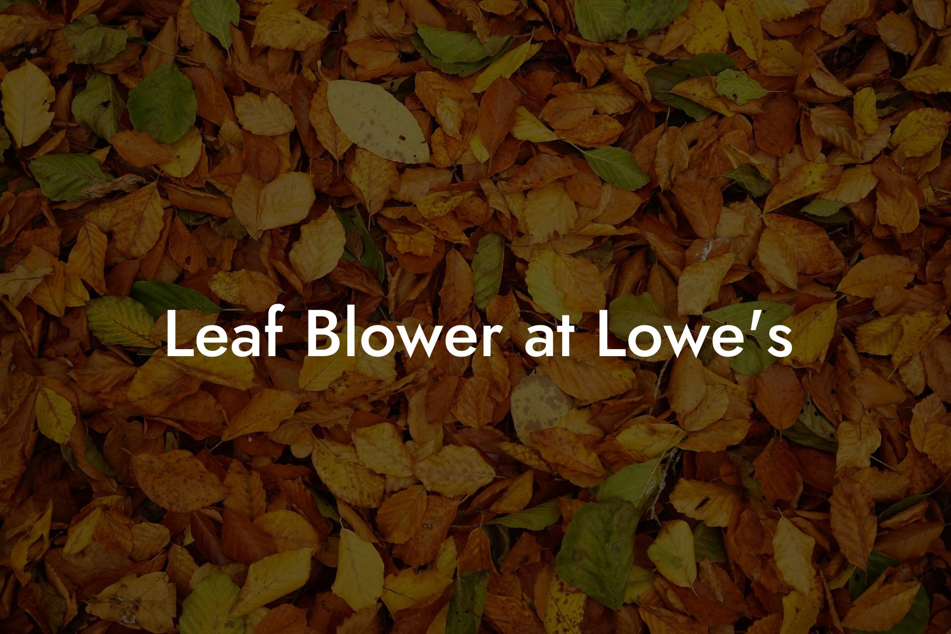 Leaf Blower at Lowes