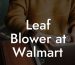 Leaf Blower at Walmart