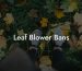 Leaf Blower Bans