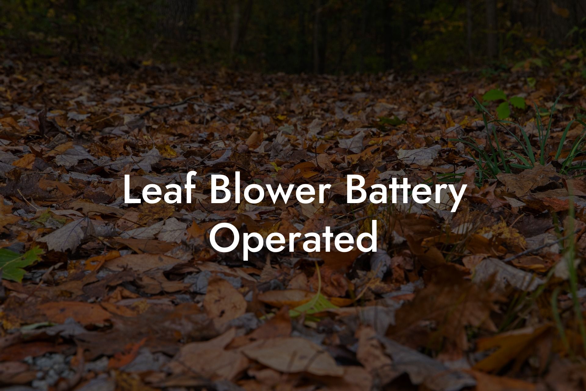 Leaf Blower Battery Operated