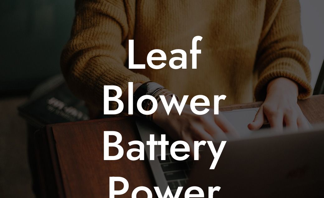 Leaf Blower Battery Power