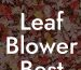 Leaf Blower Best