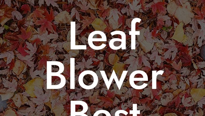 Leaf Blower Best