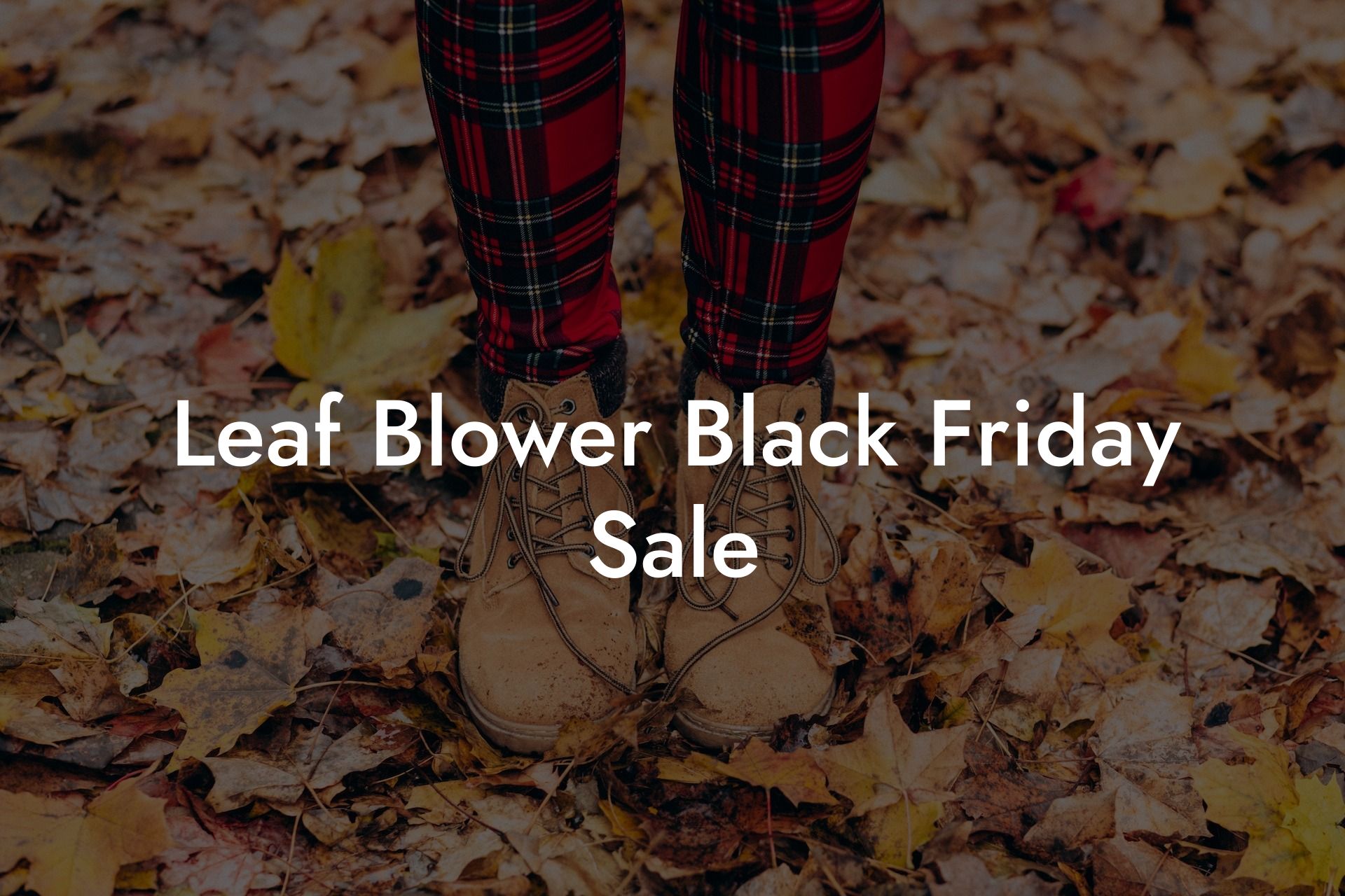 Leaf Blower Black Friday Sale