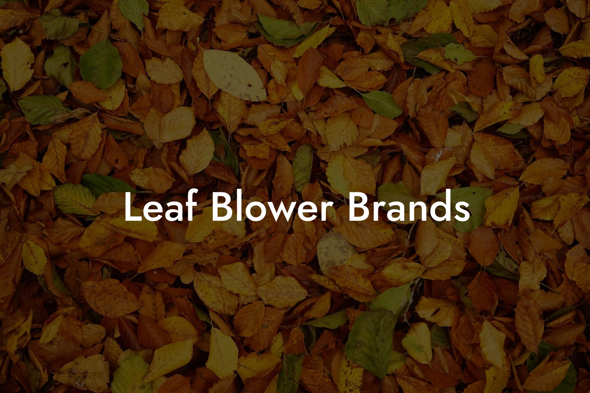 Leaf Blower Brands