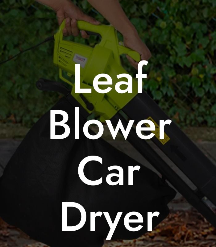 Leaf Blower Car Dryer