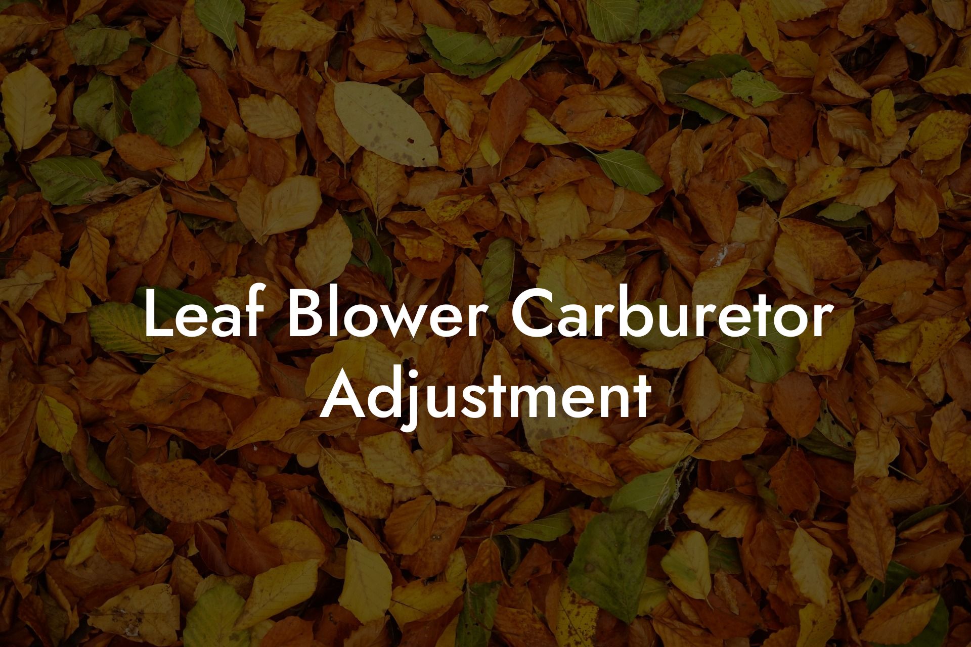 Leaf Blower Carburetor Adjustment