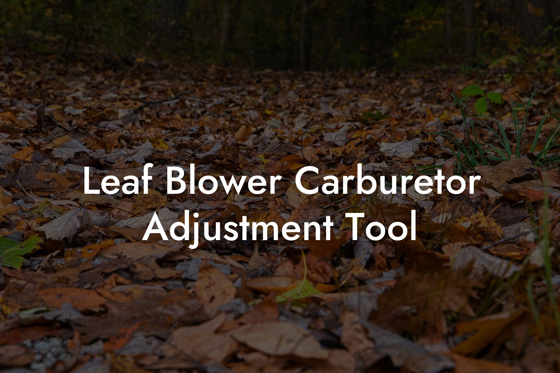 Leaf Blower Carburetor Adjustment Tool