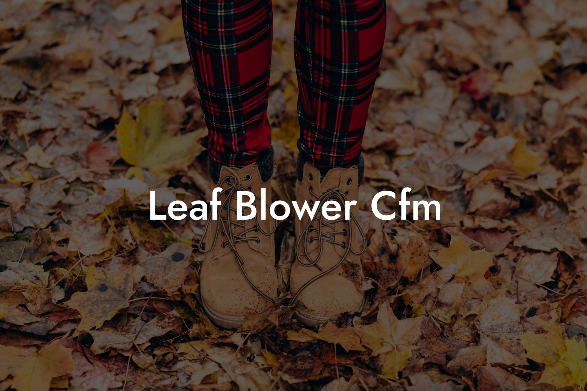 Leaf Blower Cfm