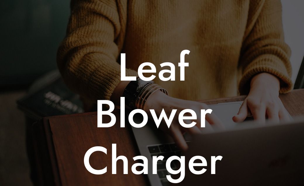 Leaf Blower Charger