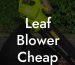 Leaf Blower Cheap