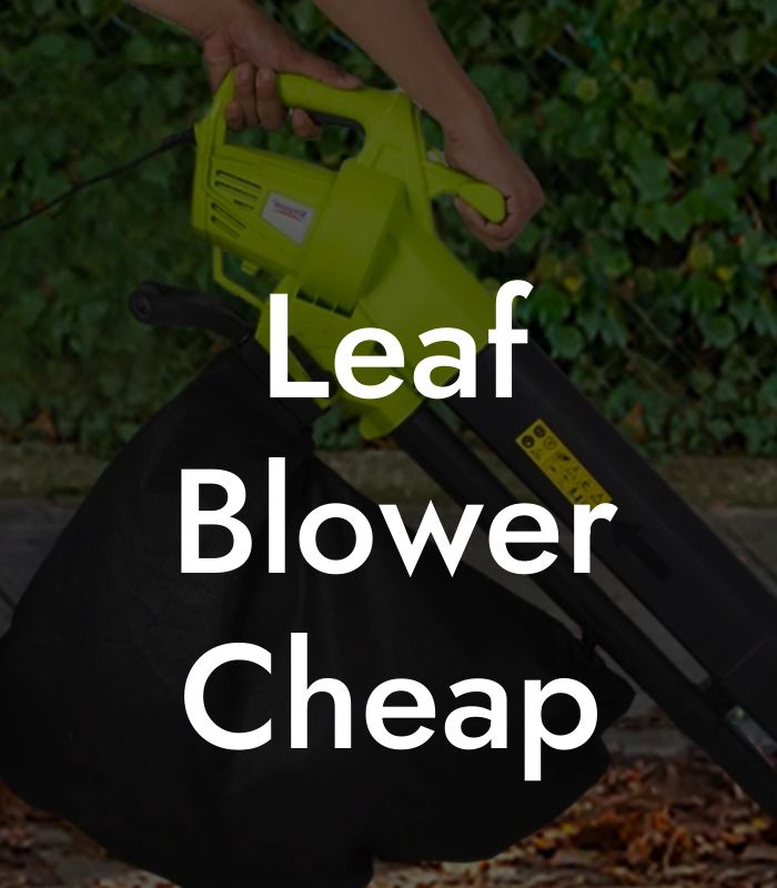 Leaf Blower Cheap