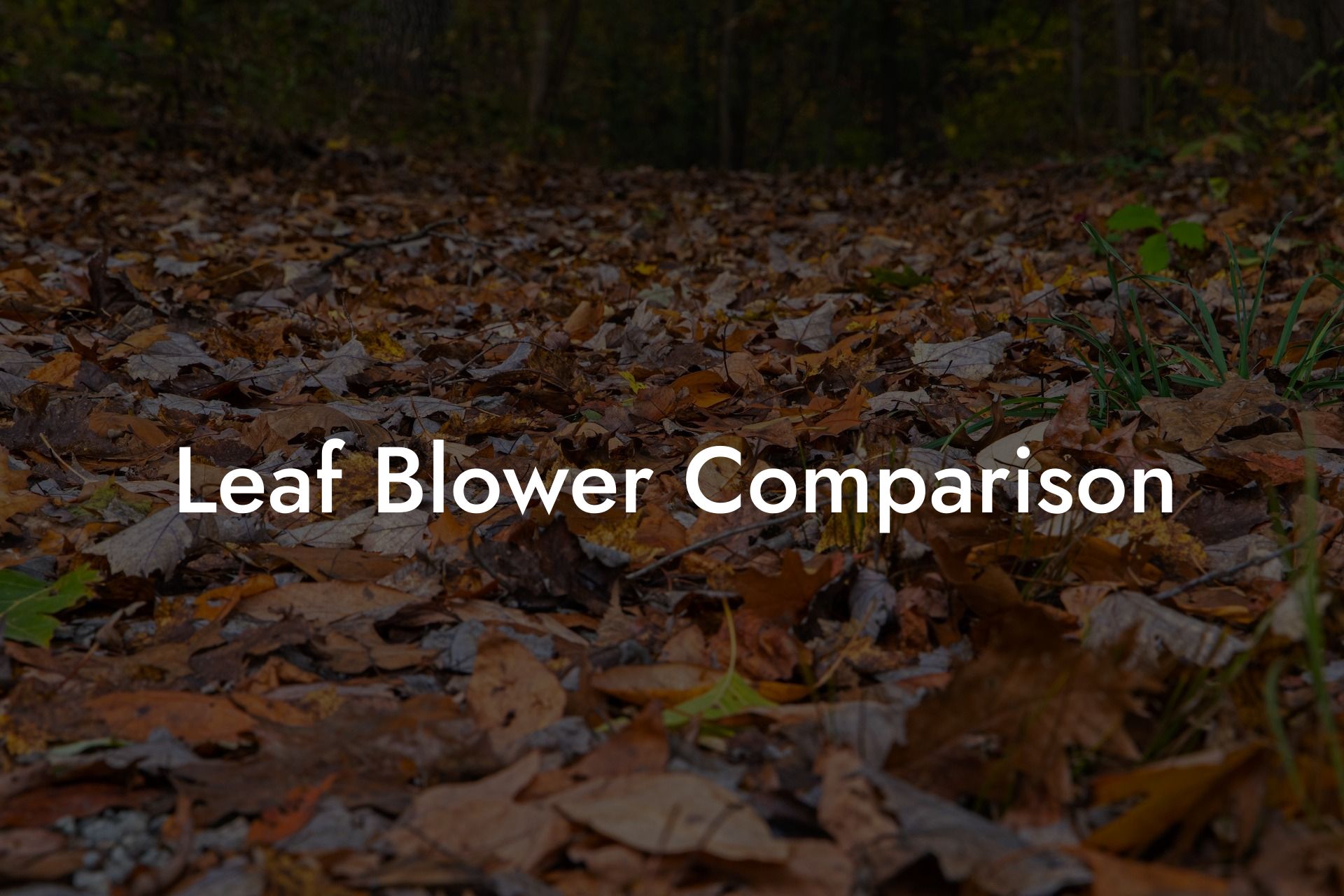 Leaf Blower Comparison