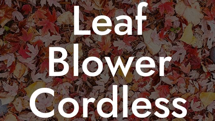 Leaf Blower Cordless Lowes