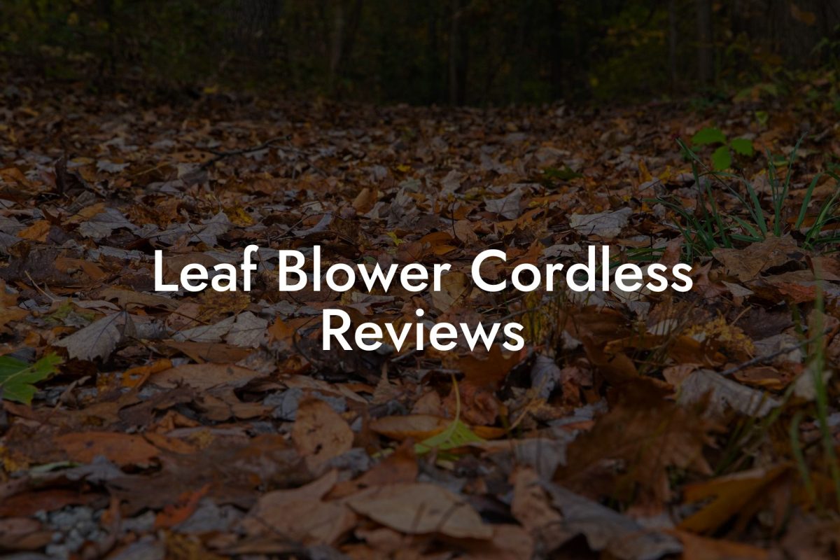 Leaf Blower Cordless Reviews