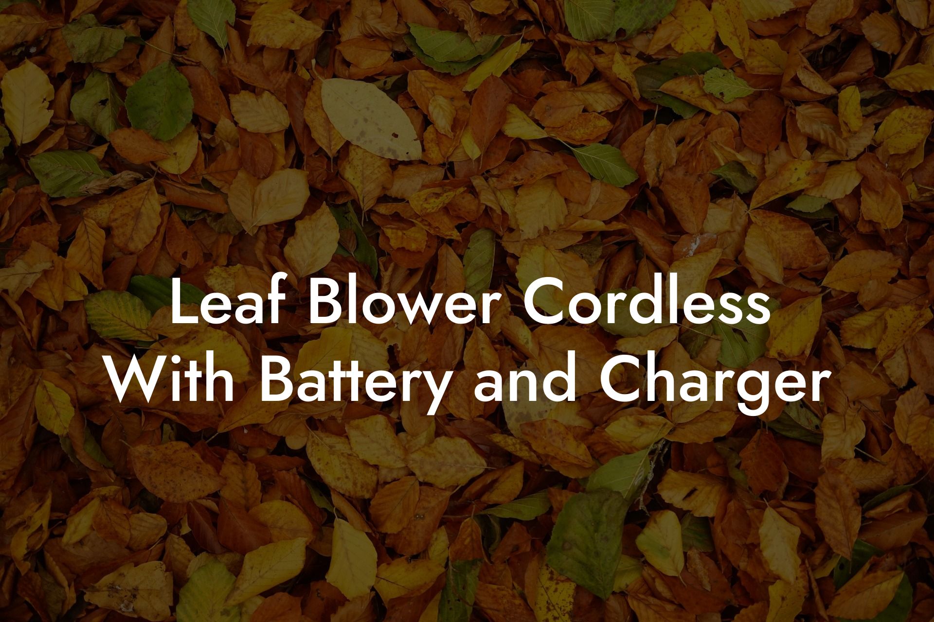 Leaf Blower Cordless With Battery and Charger