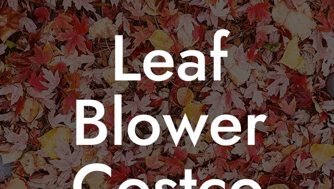 Leaf Blower Costco