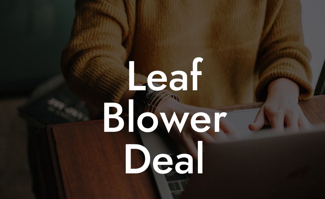 Leaf Blower Deal