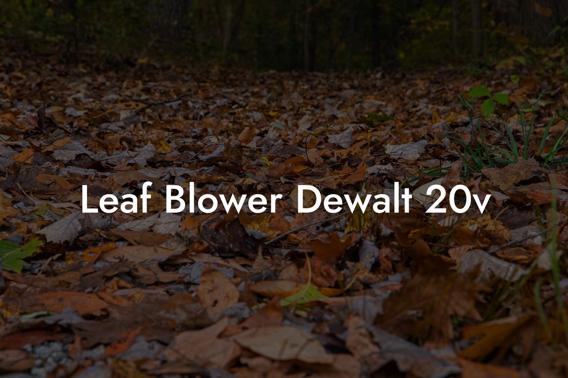 Leaf Blower Dewalt 20v