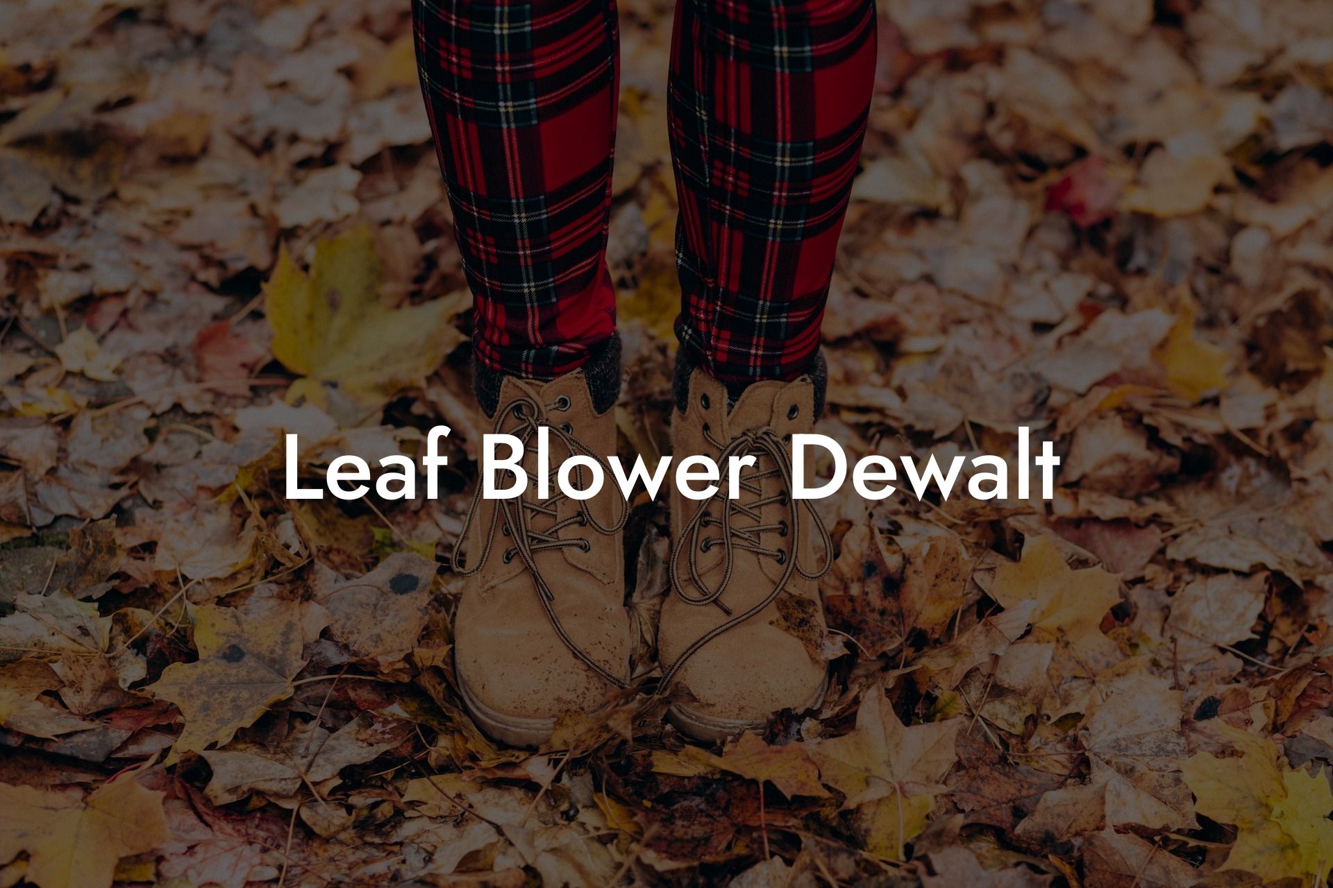 Leaf Blower Dewalt