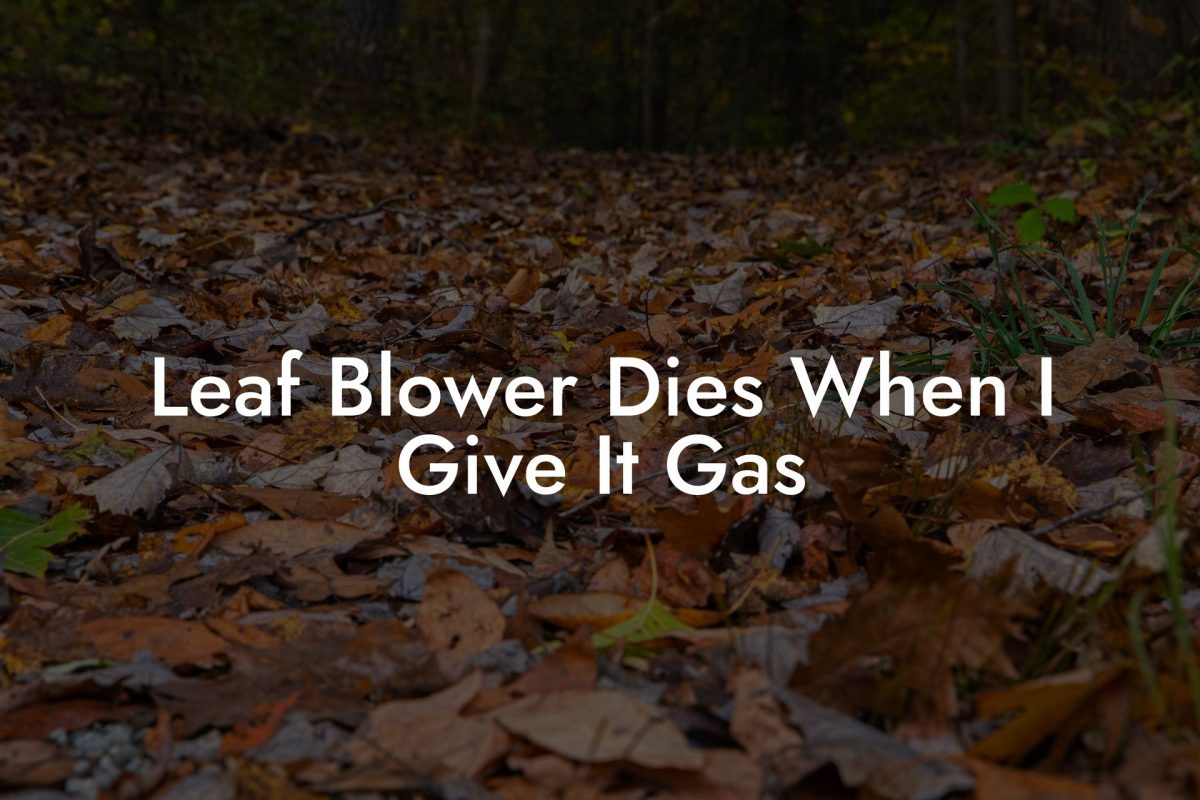 Leaf Blower Dies When I Give It Gas