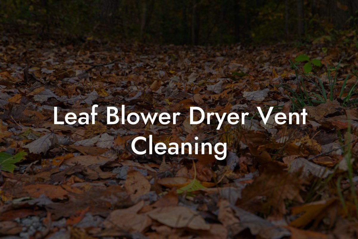 Leaf Blower Dryer Vent Cleaning